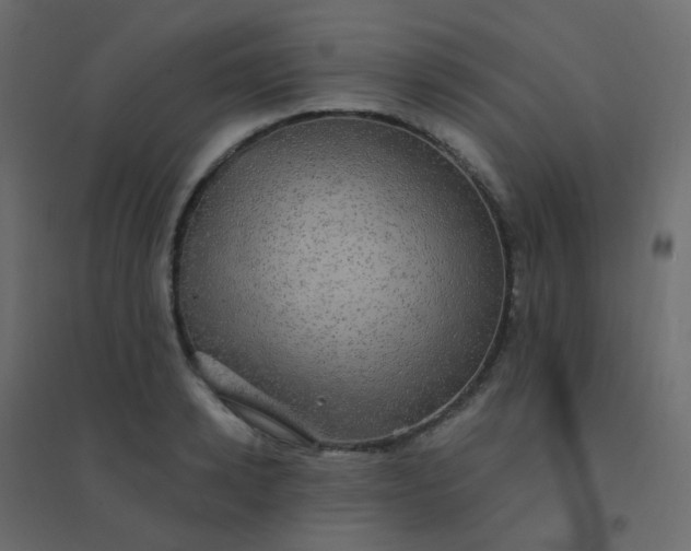 X0000094940942200712131556