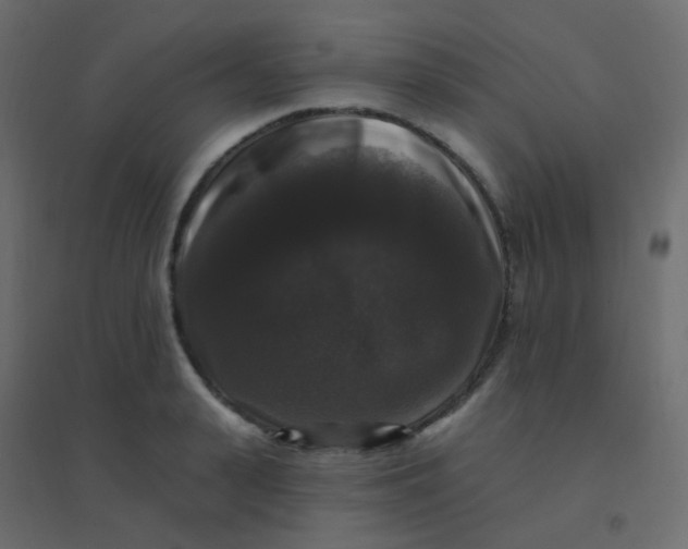 X0000094940943200712131556