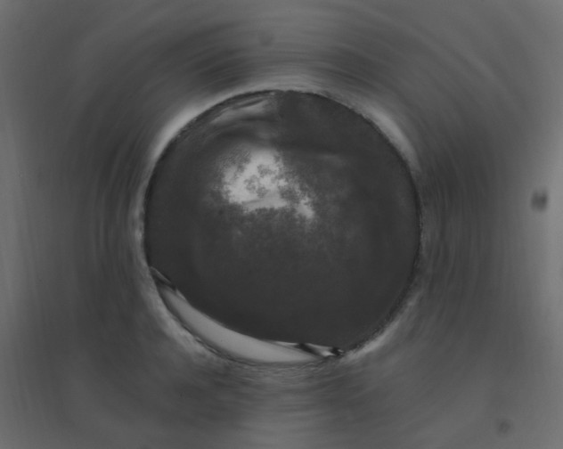 X0000094940944200712131556