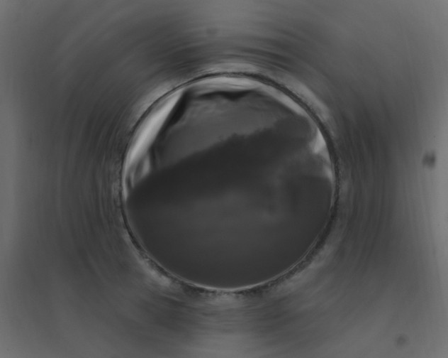 X0000094940945200712131556