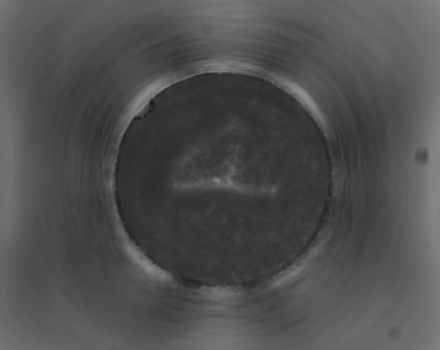 X0000094940946200712131557