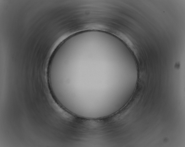 X0000094940947200712131557