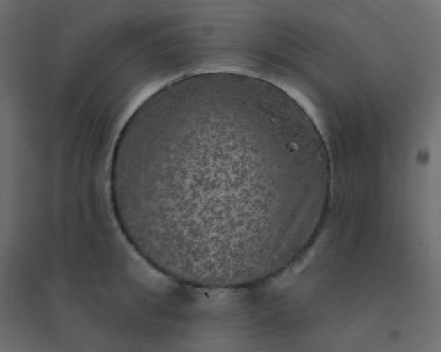 X0000094940949200712131557