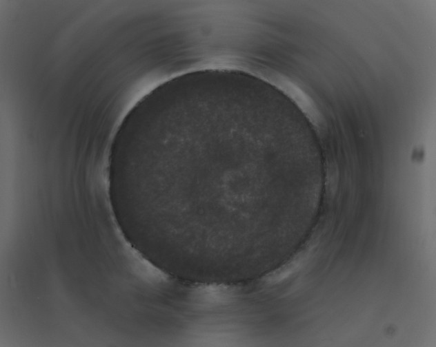 X0000094940950200712131557