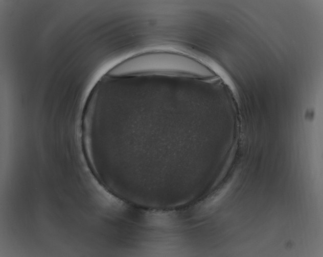 X0000094940951200712131557