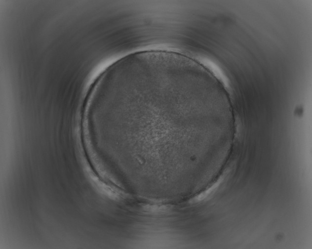 X0000094940952200712131557