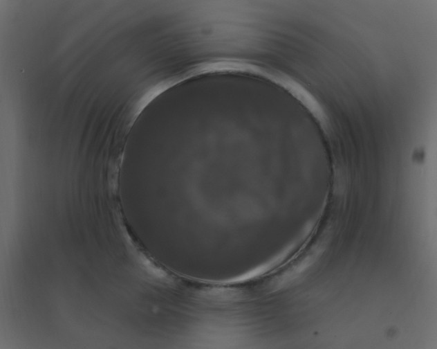 X0000094940953200712131557