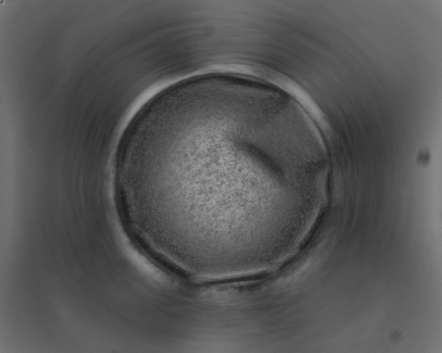 X0000094940955200712131557