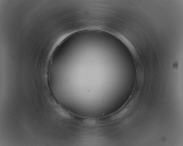 X0000094940956200712131557