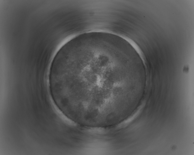 X0000094940957200712131557