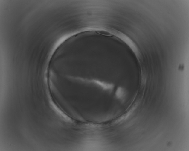 X0000094940958200712131557