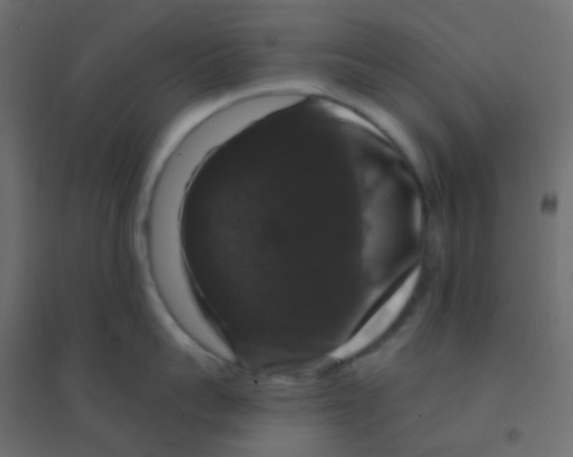 X0000094940959200712131557