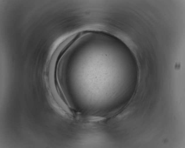 X0000094940960200712131557