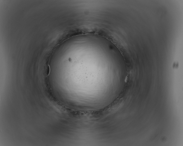 X0000094940961200712131556