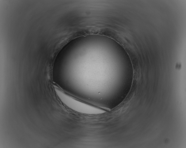 X0000094940962200712131556