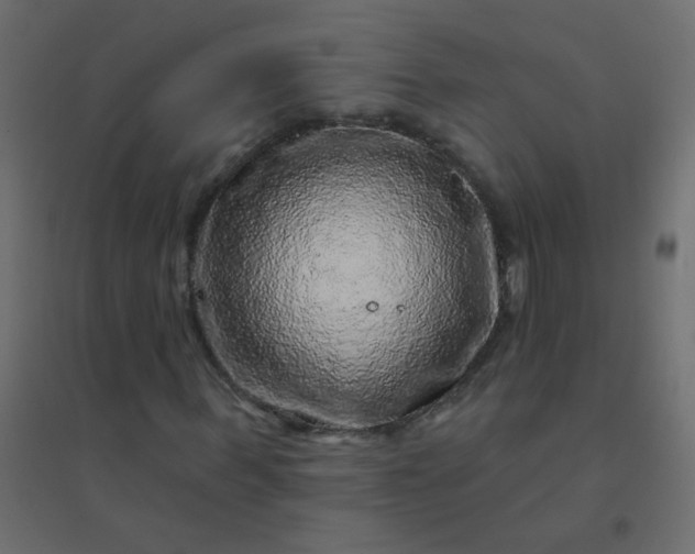 X0000094940963200712131556