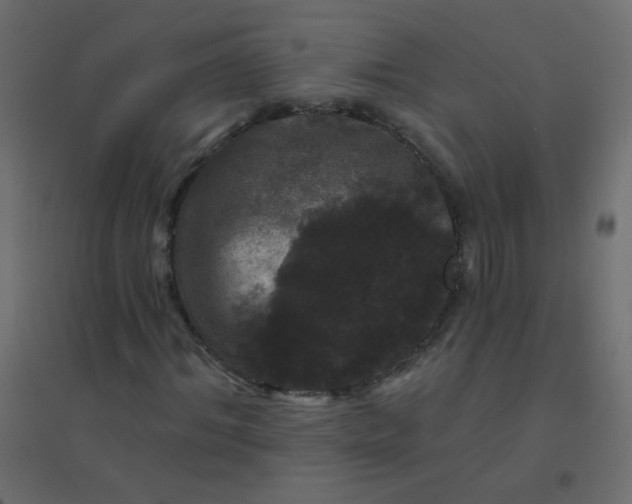 X0000094940964200712131556