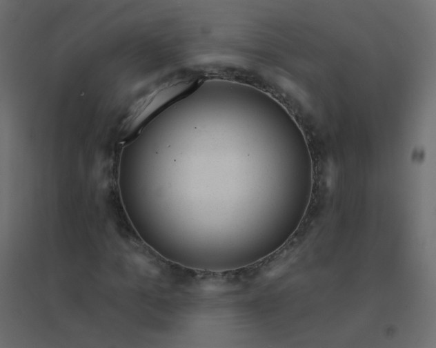 X0000094940965200712131556