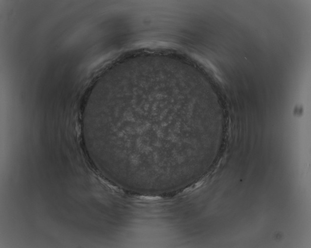 X0000094940966200712131556