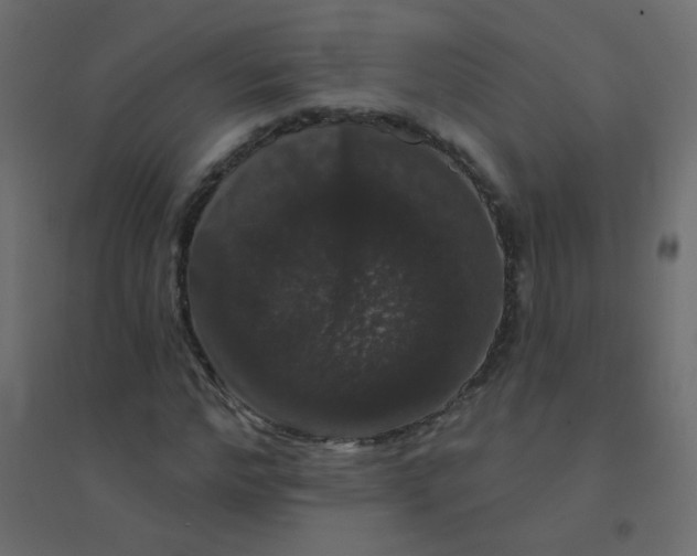 X0000094940968200712131556