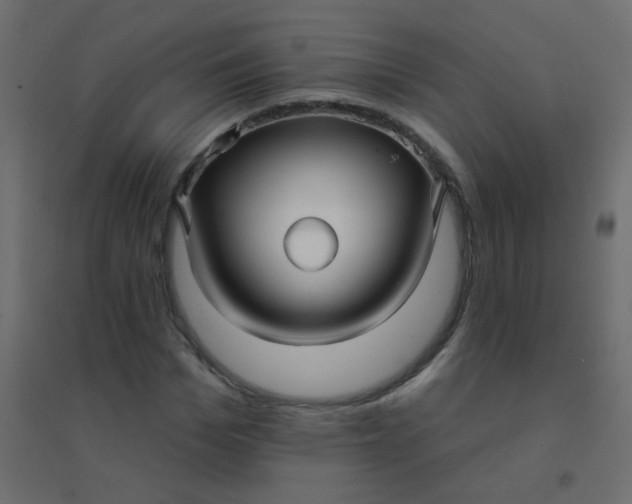 X0000094940969200712131556