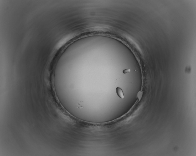 X0000094940970200712131556