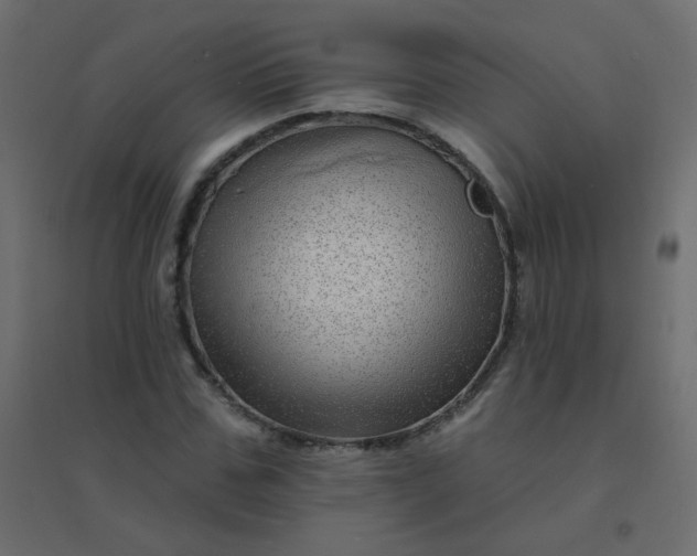 X0000094940971200712131556