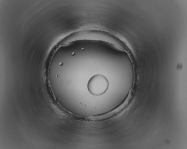 X0000094940973200712131556