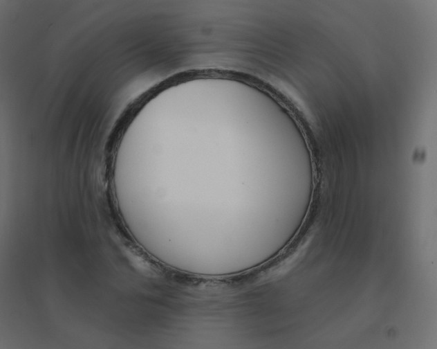 X0000094940974200712131556