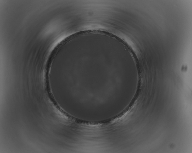 X0000094940975200712131556