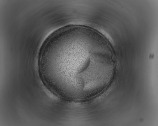 X0000094940976200712131556