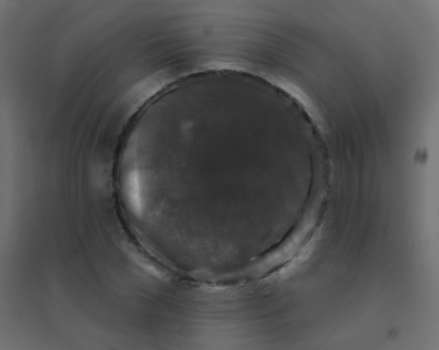 X0000094940977200712131556