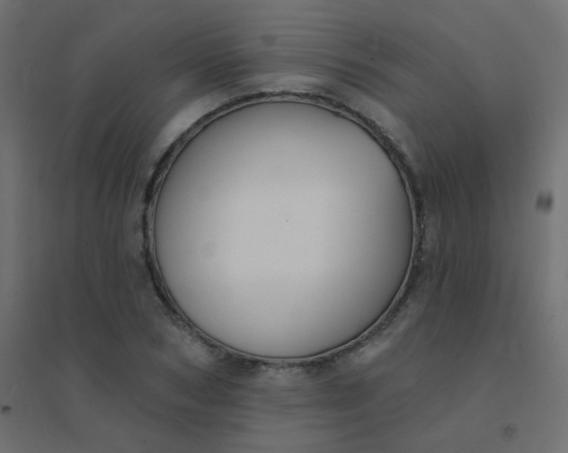 X0000094940978200712131556