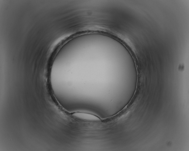 X0000094940979200712131556