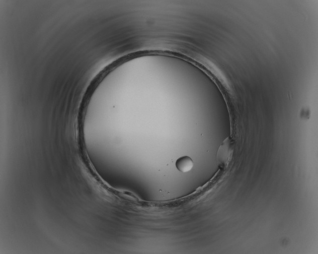 X0000094940980200712131556