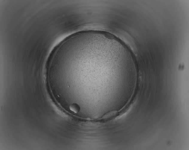 X0000094940981200712131556