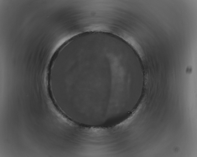 X0000094940983200712131556