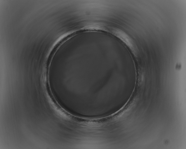 X0000094940984200712131556