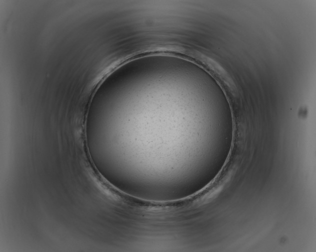 X0000094940985200712131556