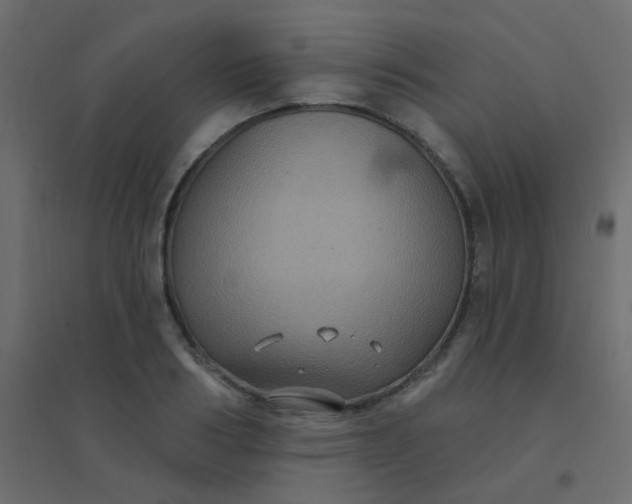 X0000094940986200712131556