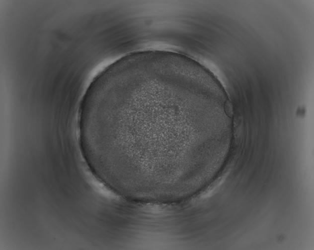 X0000094940987200712131556