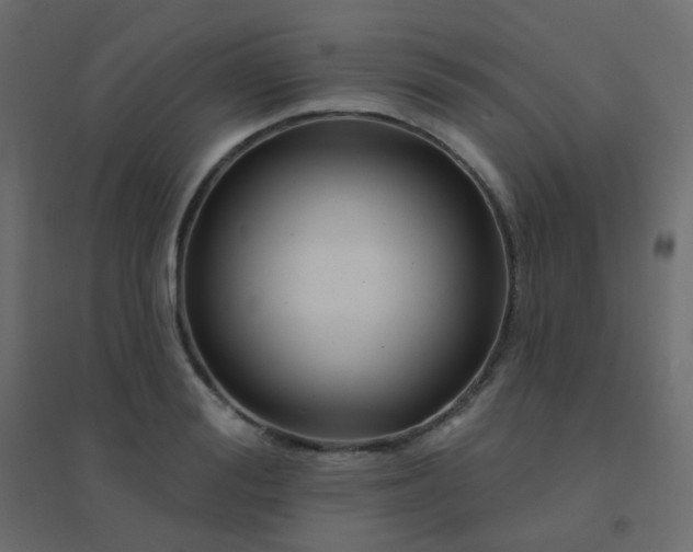 X0000094940988200712131556