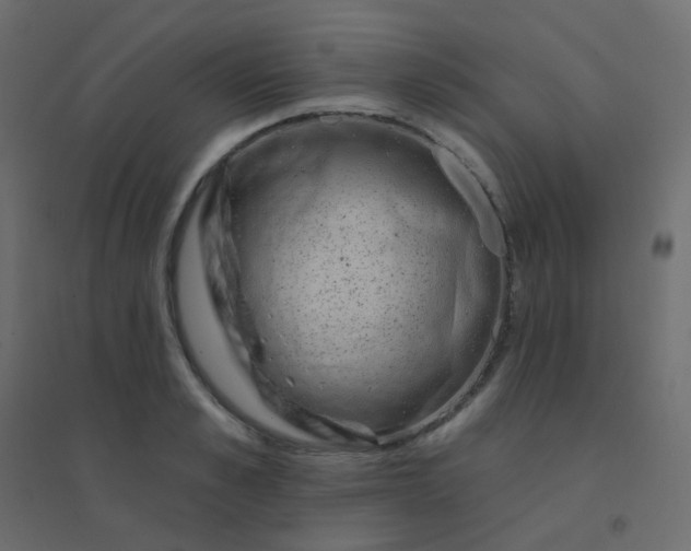 X0000094940989200712131556