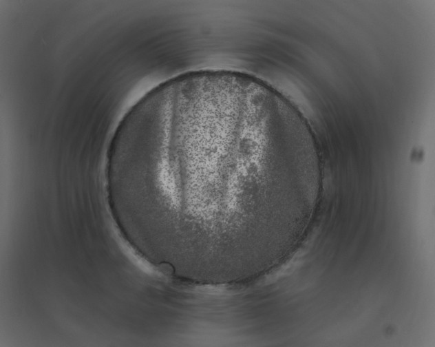 X0000094940990200712131556