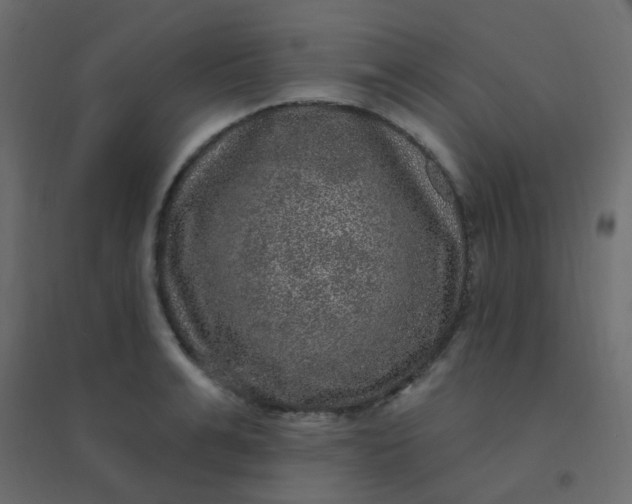 X0000094940991200712131556