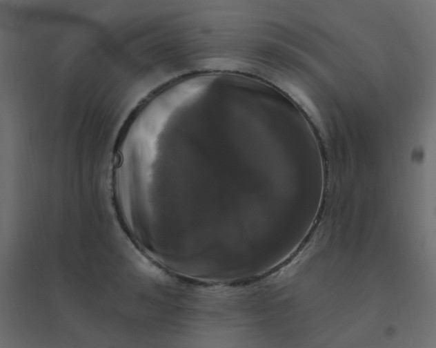 X0000094940992200712131556