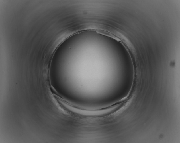 X0000094940993200712131556