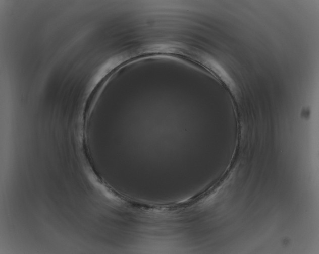 X0000094940994200712131556