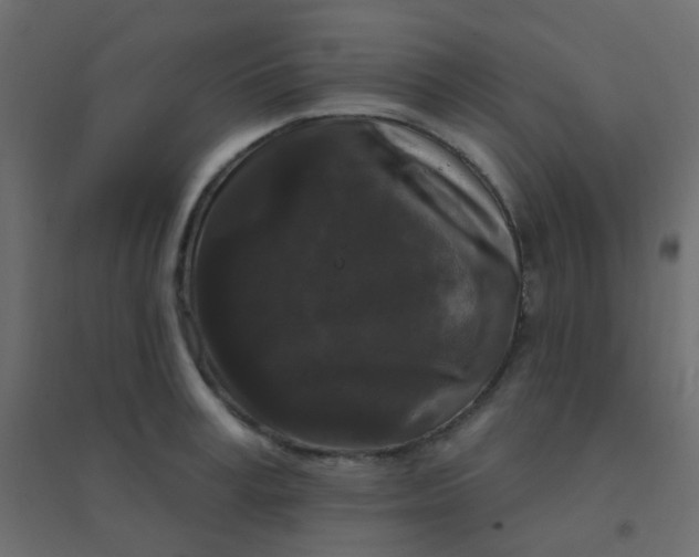 X0000094940995200712131556