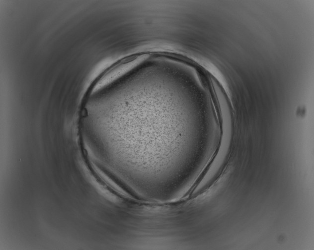 X0000094940997200712131556